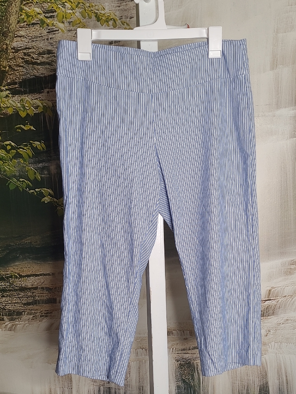 Joe Benbasset Womens XL Blue White Pinstripe Capri Pants